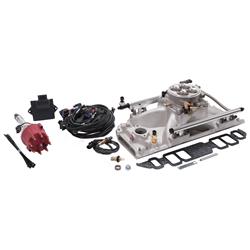 Edelbrock Pro-Flo 4 EFI Systems