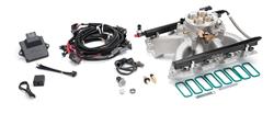Edelbrock Pro-Flo 4 EFI Systems