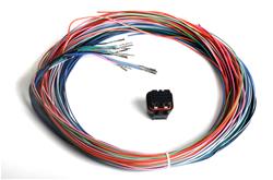 Holley Dominator EFI Auxiliary Harnesses