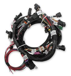 [HLY-558-110] Holley EFI Systems Main Wiring Harnesses