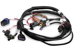[HLY-558-414] Holley EFI Systems Wiring Harnesses