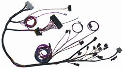 [RFW-MG65] The Detail Zone Ford 2.3 Turbo EFI Engine Swap Wiring Harnesses