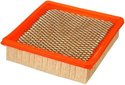 [FRM-CA3915] Fram Extra Guard Air Filters