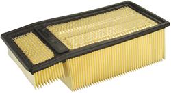 [FRM-CA10888] Fram Extra Guard Air Filters