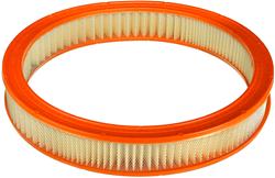 [FRM-CA114] Fram Extra Guard Air Filters