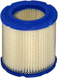 [FRM-CA15] Fram Extra Guard Air Filters